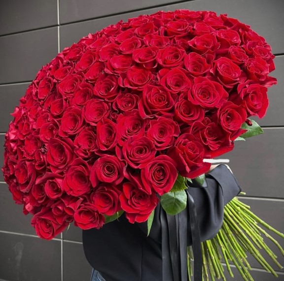 101 Adet Kırmızı Ekvator Gülleri (Premium)