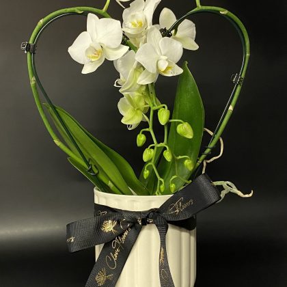 Özel Seramik Saksıda Kalpli Orkide-Sevgililer Günü Hediyesi