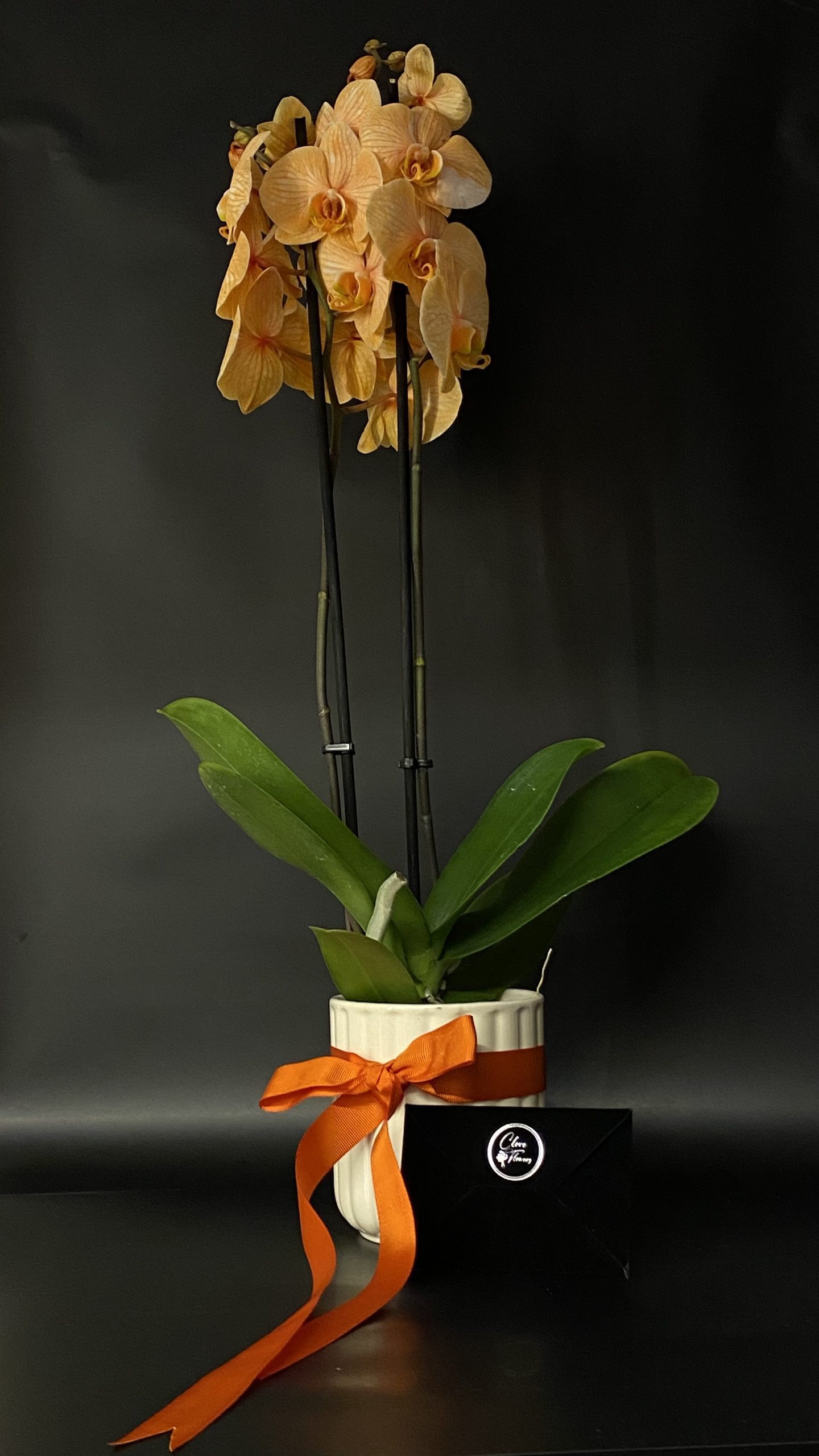 Özel Seramik Vazoda Hollanda Turuncu Çift Dallı Orkide-Sevgililer Günü Hediyesi - Görsel 3