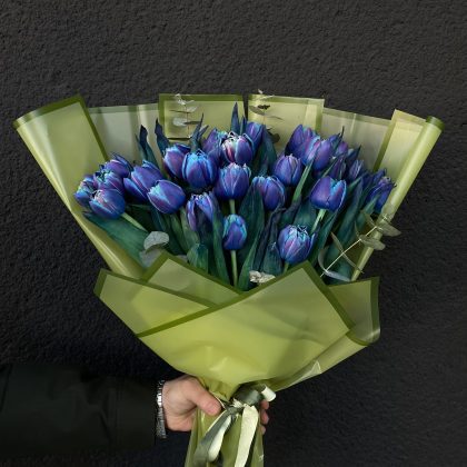 Galaksi Hollanda Laleler Buketi (25 Adet)