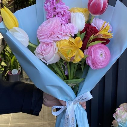 Erengüller, Ekvator Güller, Hollanda Laleleri, Kokulu Şebboy Kuşağı (Kore Tarzı)