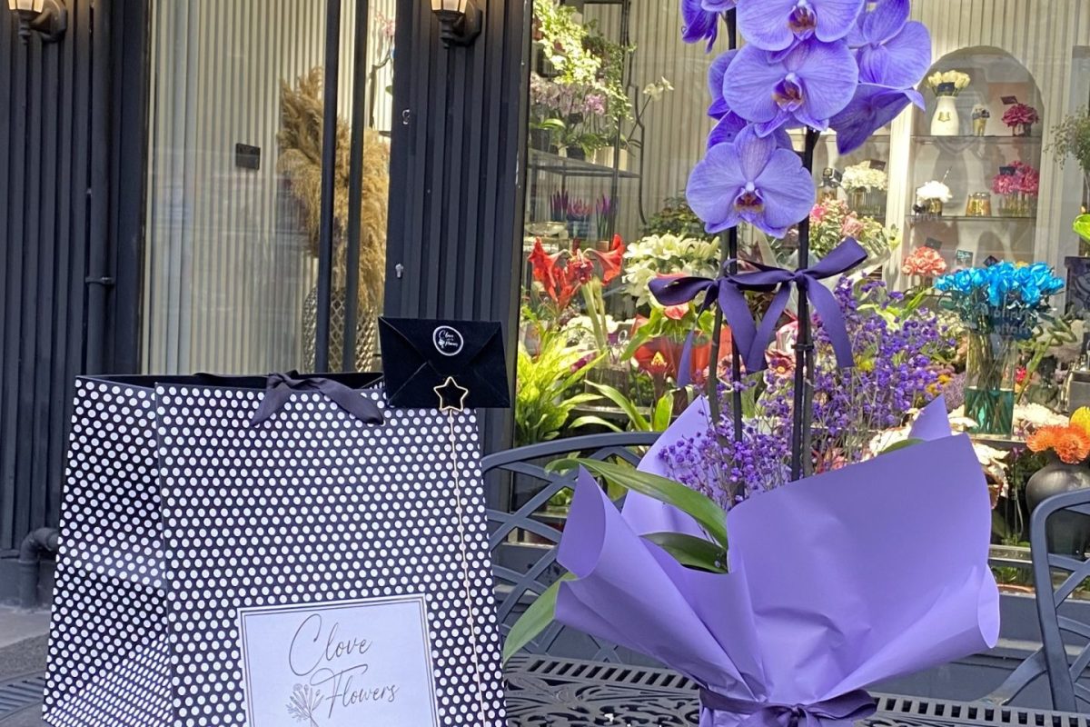 mor boyalı orkide bahçede